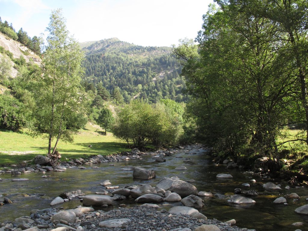 IMG 9358 .JPG lieux de peche environnement